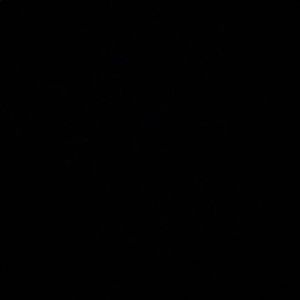 Meet your Posher, Hadley